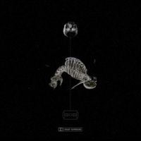 shinigami - occam&rsquo;s razor