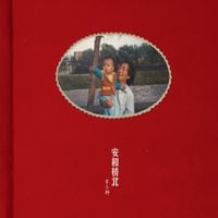宋冬野 [Song Dongye] - 安和桥北