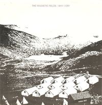 The Magnetic Fields - Why I Cry