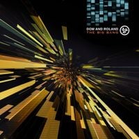 Dom & Roland - The Big Bang