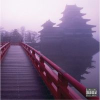 Lone Ninja - Trapdoors & Secret Passageways