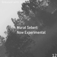 Murat Sebert - now experimental
