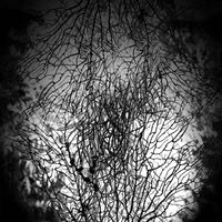 Daniel Menche - Sonorous Debris