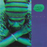 Silent Phase - (The Theory Of)