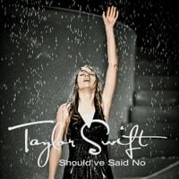 Taylor Swift - Should've Said No