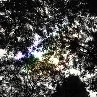 Atlas in Motion - light leaks