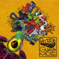 Palta & The Mood - Guacamole