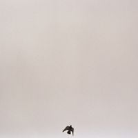Maverick Sabre - You Know How It Feels