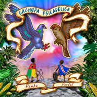 Cachupa Psicad&eacute;lica - Pomba Pardal