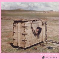 Trust Punks - Improved Discipline