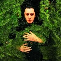 Alain Bashung - Fantaisie militaire