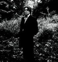 Alain Bashung - L'imprudence
