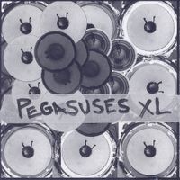 Pegasuses-XL - Electro Agitators