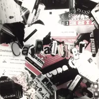 Carpainter - Carpainter