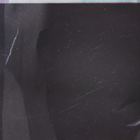 Philip Sulidae - Perplexor