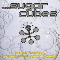 The Sugarcubes - Here Today, Tomorrow Next Week!