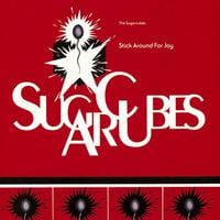 The Sugarcubes - Stick Around for Joy