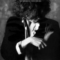 The Waterboys - This Is the Sea