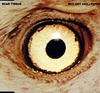 Red Hot Chili Peppers - Scar Tissue