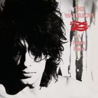 The Waterboys - A Pagan Place