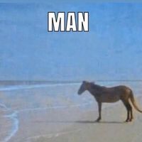 Apple Juice Box - Man