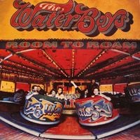 The Waterboys - Room to Roam