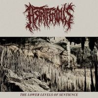 Astriferous - The Lower Levels of Sentience