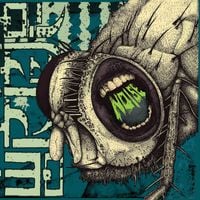 Wormrot - Noise