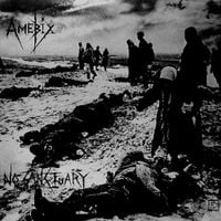 Amebix - No Sanctuary