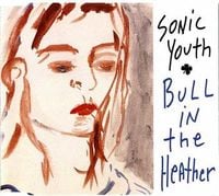 Sonic Youth - Bull in the Heather