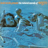 Airto - Seeds On The Ground - The Natural Sounds Of Airto