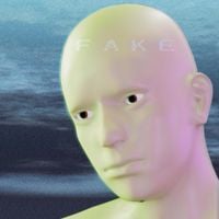 Ben Levin Group - Fake