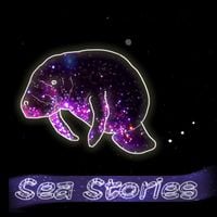 Ben Levin Group - Sea Stories