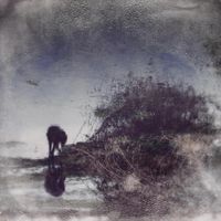 Simon Posford - Flux & Contemplation: Portrait of an Artist in Isolation