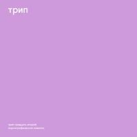 Vladimir Dubyshkin - pornographic novel