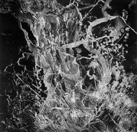 BRUIT &le; - Monolith