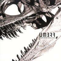 BOOM BOOM SATELLITES - Umbra