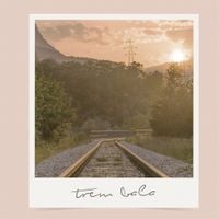 Ana Vilela - Trem Bala