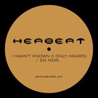 Matthew Herbert - I Hadn't Known (I Only Heard)