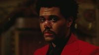 The Weeknd - Until I Bleed Out