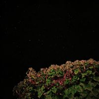 not dvr - Tape_01
