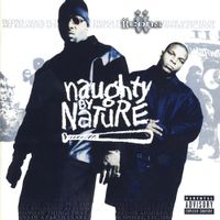 Naughty By Nature - IIcons