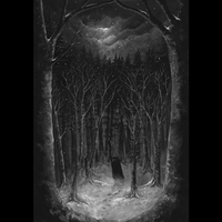 Paysage d'Hiver - Im Winterwald