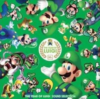 Various Artists - The Year of Luigi Sound Selection