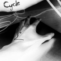 Melatonin Owls - Cycle