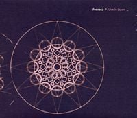 Fennesz - Live in Japan