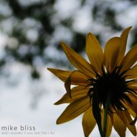 Mike Bliss - and i wonder if you feel like i do