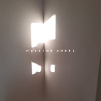 Timmies - missing angel