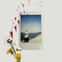 Lil Darkie - ELECTRIC DANDELIONS