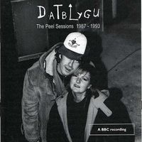 Datblygu - The Peel Sessions, 1987-1993